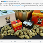 Ice Cube marihuana